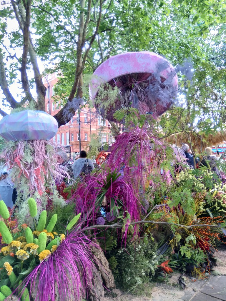 Jelly Fish, Sloane Square