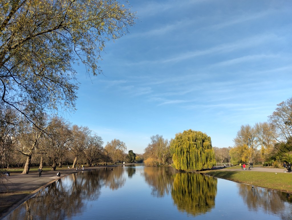 Blue sky and a lake with trees reflected in it